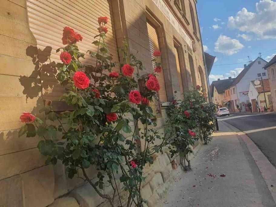 Apartamento Wohlfuehloase Auf 133-160Qm In Der Idylle An Der Nahe Duchroth Exterior foto