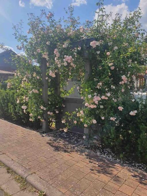 Apartamento Wohlfuehloase Auf 133-160Qm In Der Idylle An Der Nahe Duchroth Exterior foto